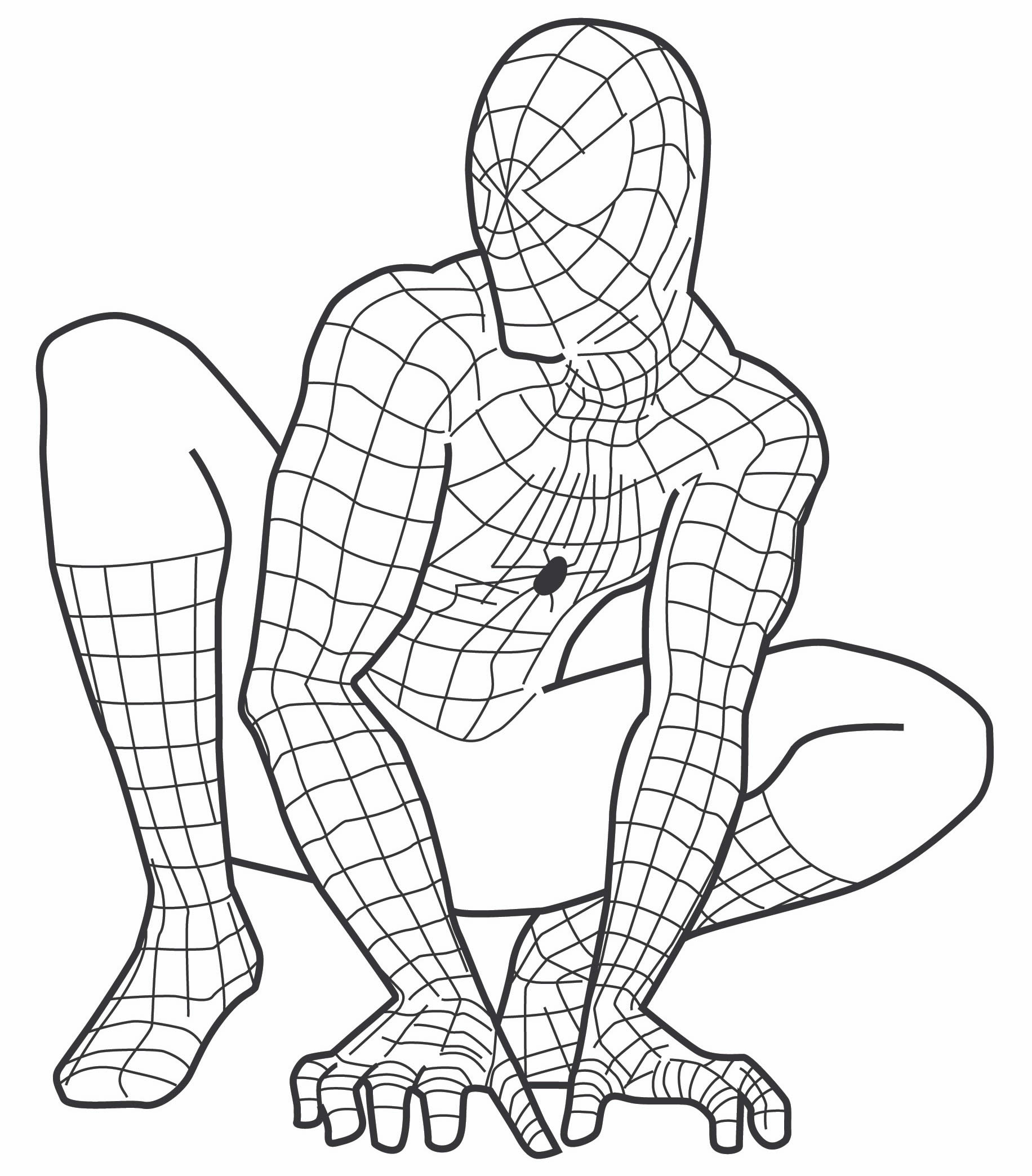 15 ideias de Homem Aranha para Colorir  homem aranha, colorir, homem  aranha desenho