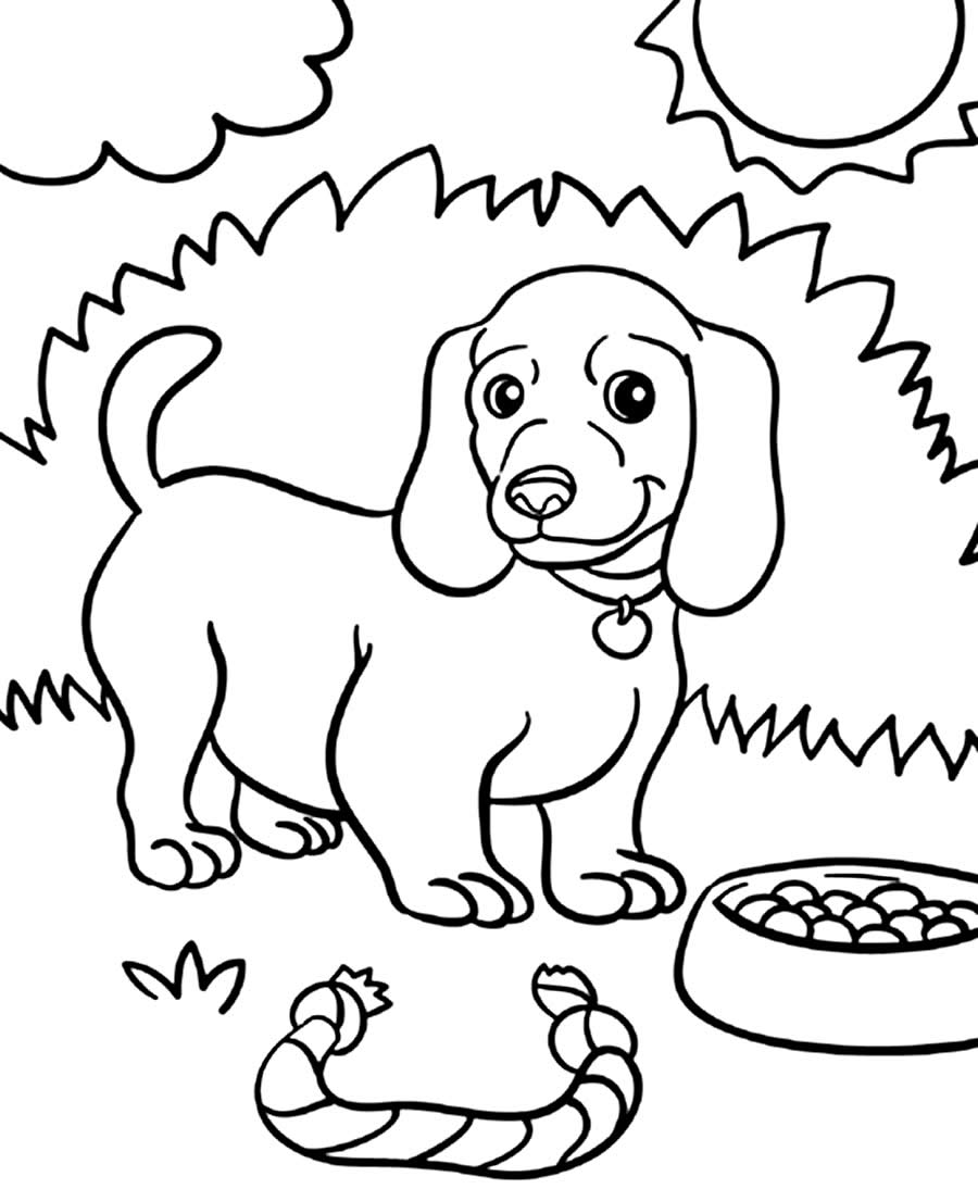 Cachorro : Desenhos para colorir, Desenhos para crianças, Jogos