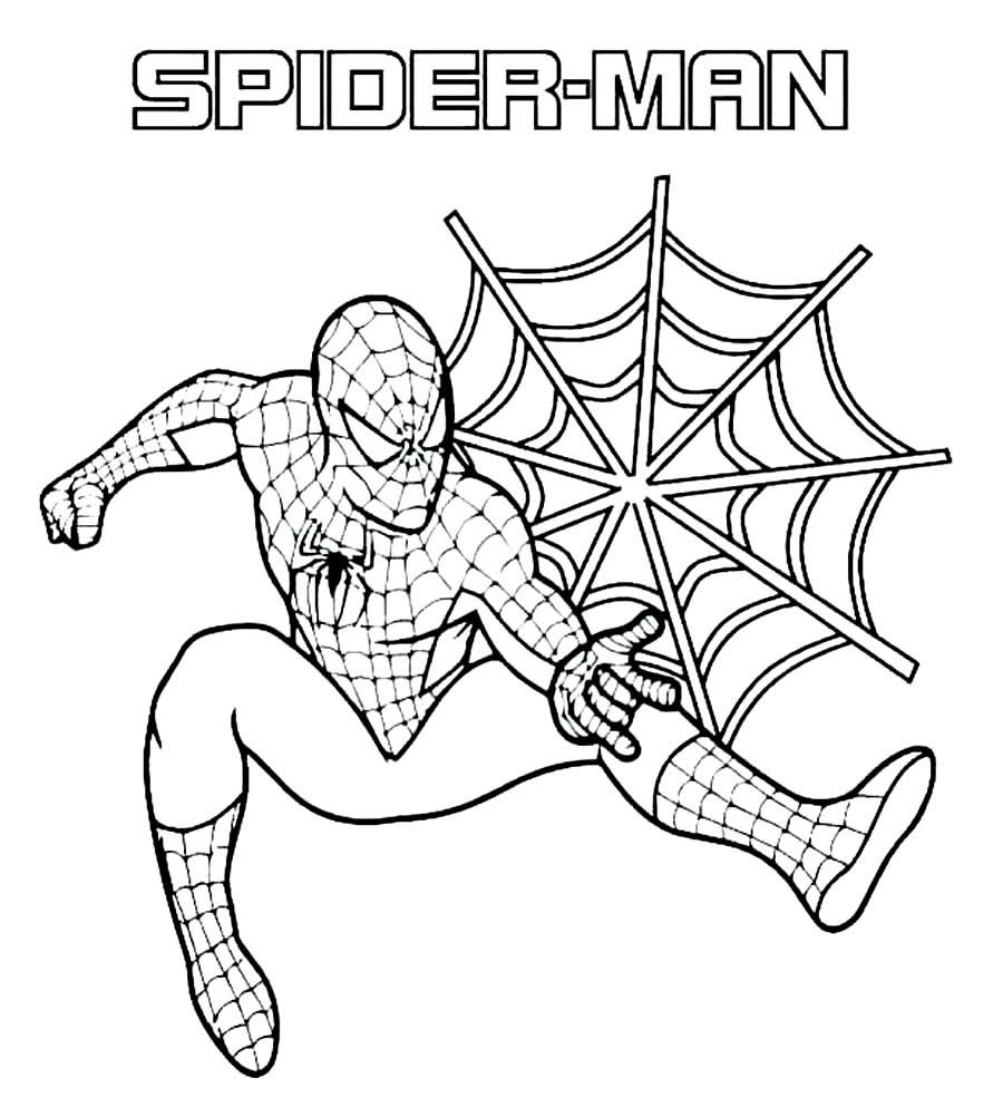 Desenhos Para Pintar e Colorir Homem Aranha - Imprimir Desenho 011