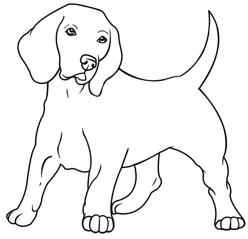 Explorando a Fofura: Desenho de Cachorrinho para Colorir